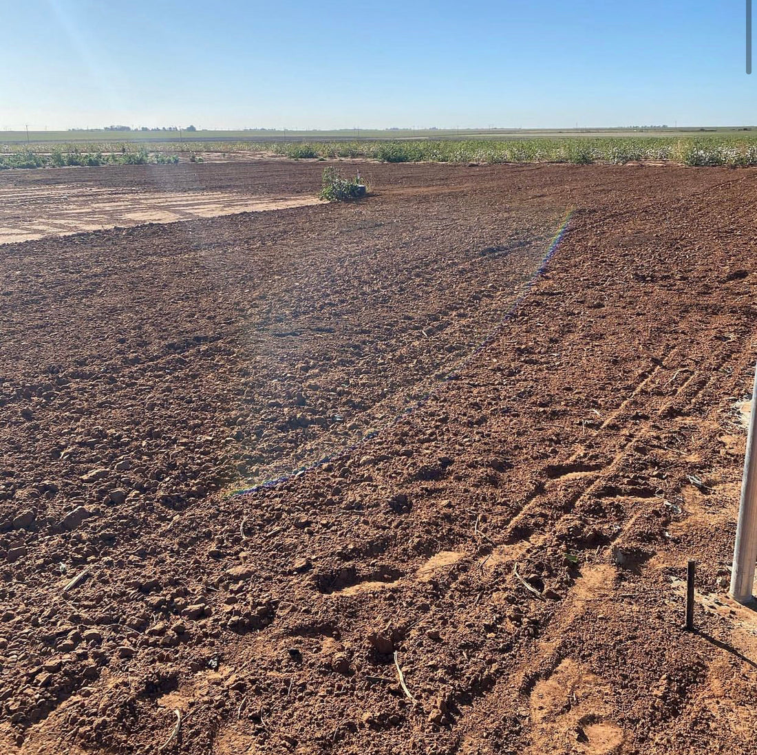 Spring Field 2022 Before Shot