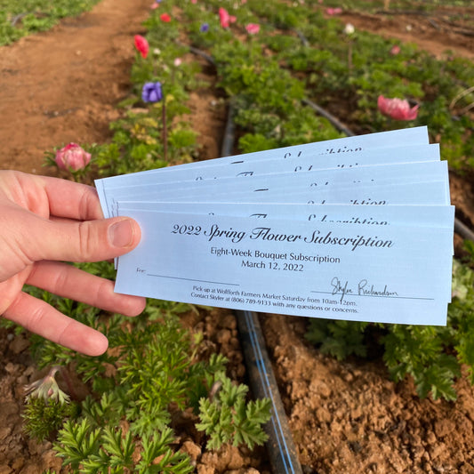 Spring Subscription Live