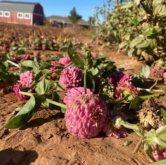 Deadheading