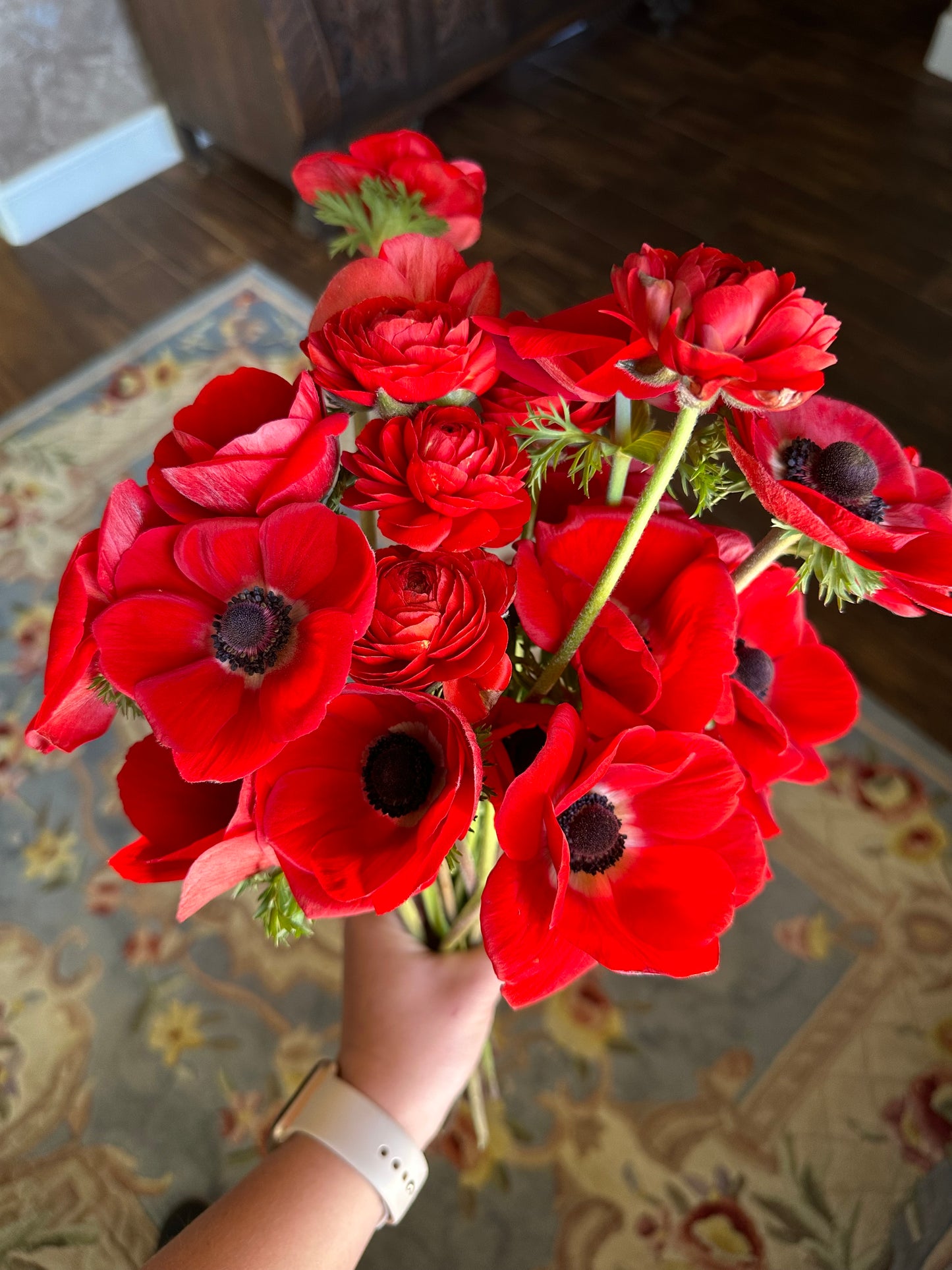 Anemone - 20 Corms