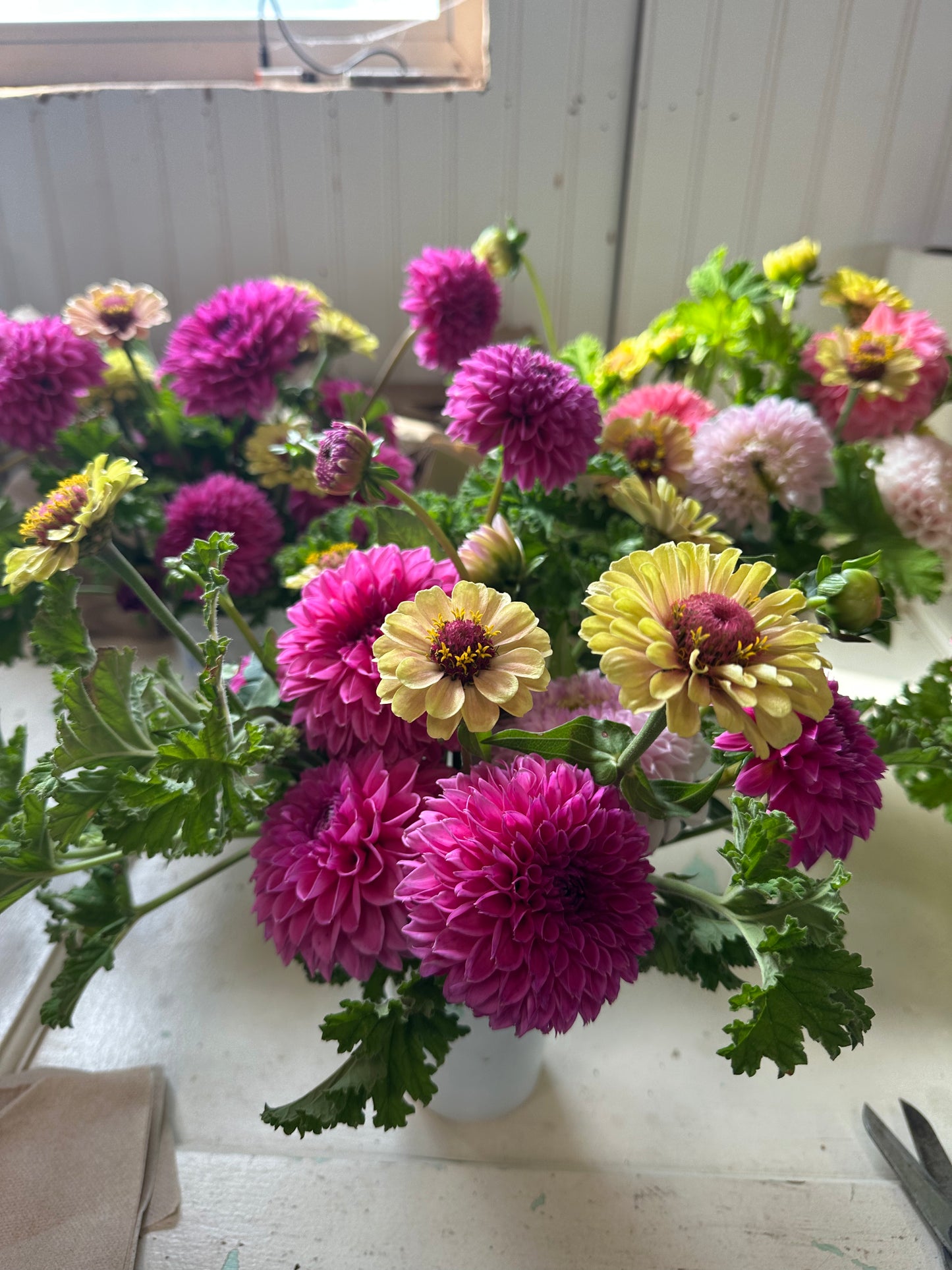 Last Chance Cup of Flowers
