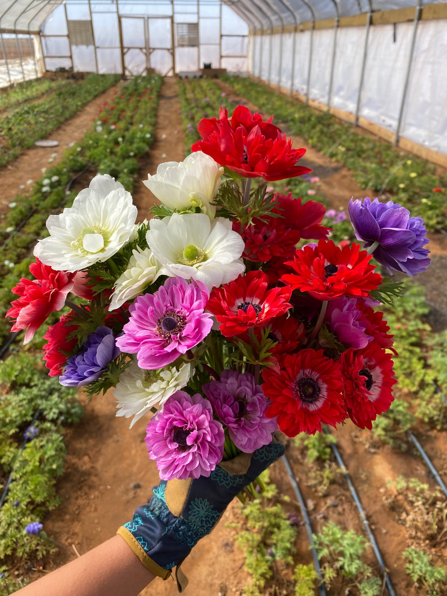 Spring Flower Bouquet Subscription