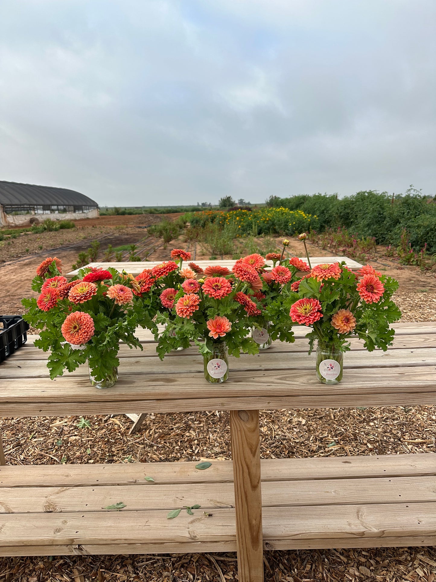 Fall Flower Bouquet Subscription