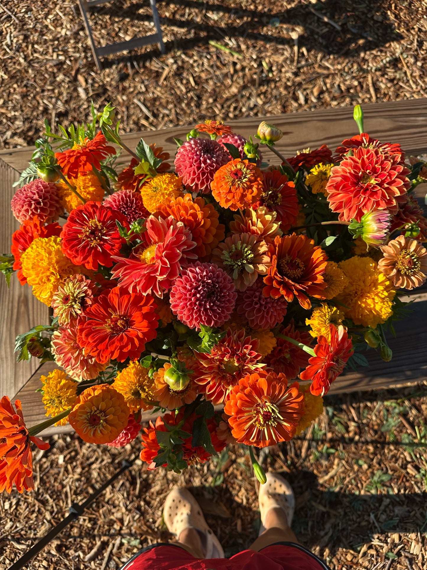 Fall Flower Bouquet Subscription