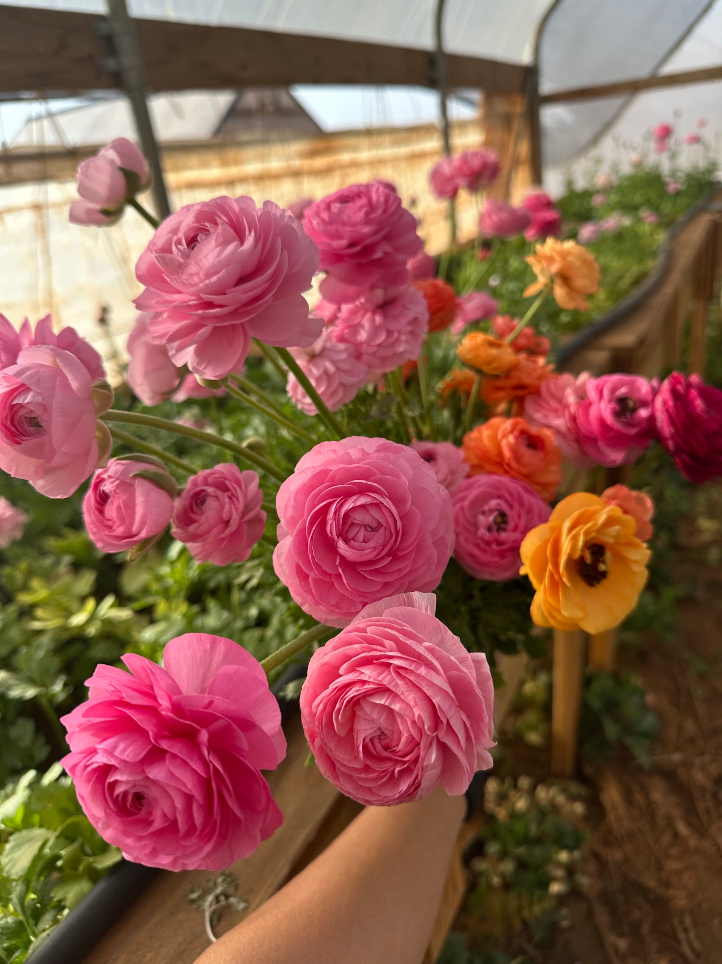 Spring Flower Bouquet Subscription