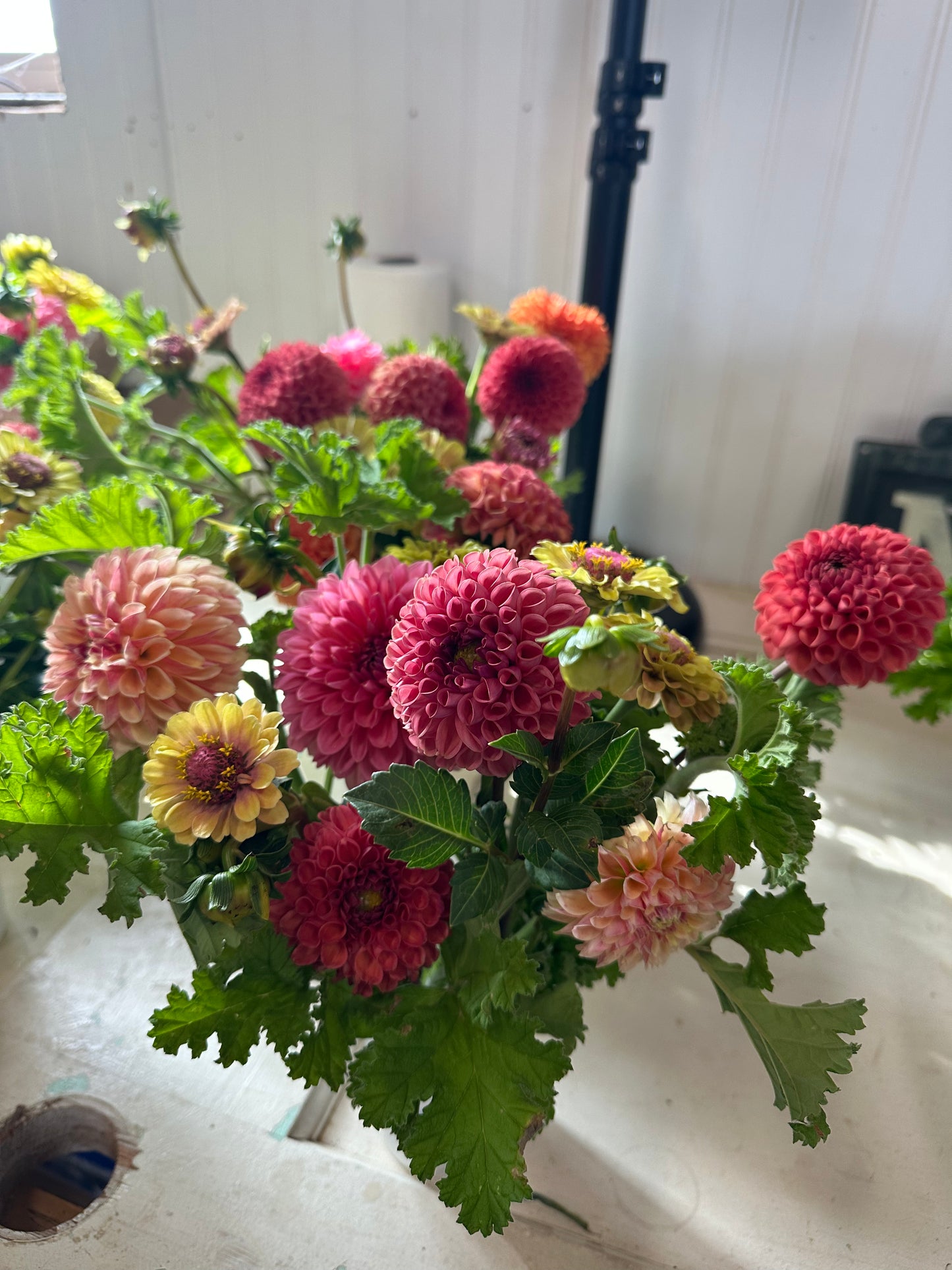Last Chance Cup of Flowers