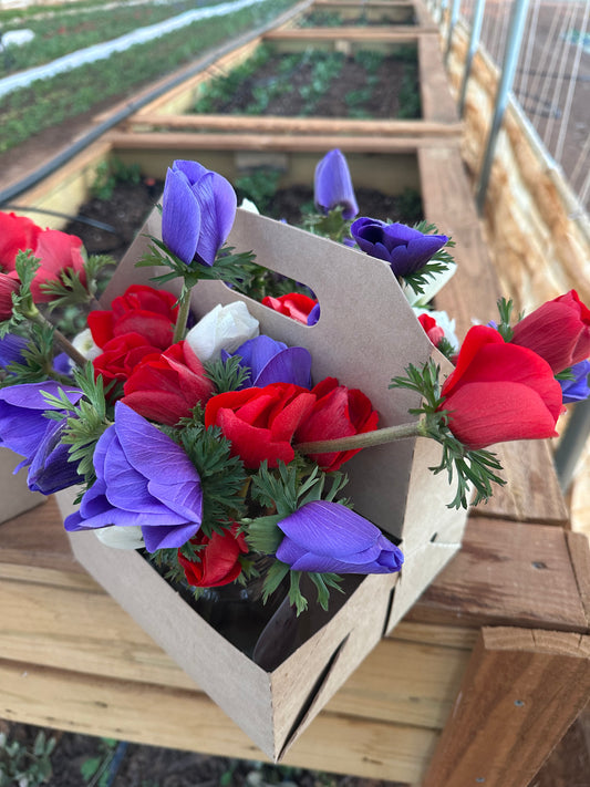 Anemone Jar
