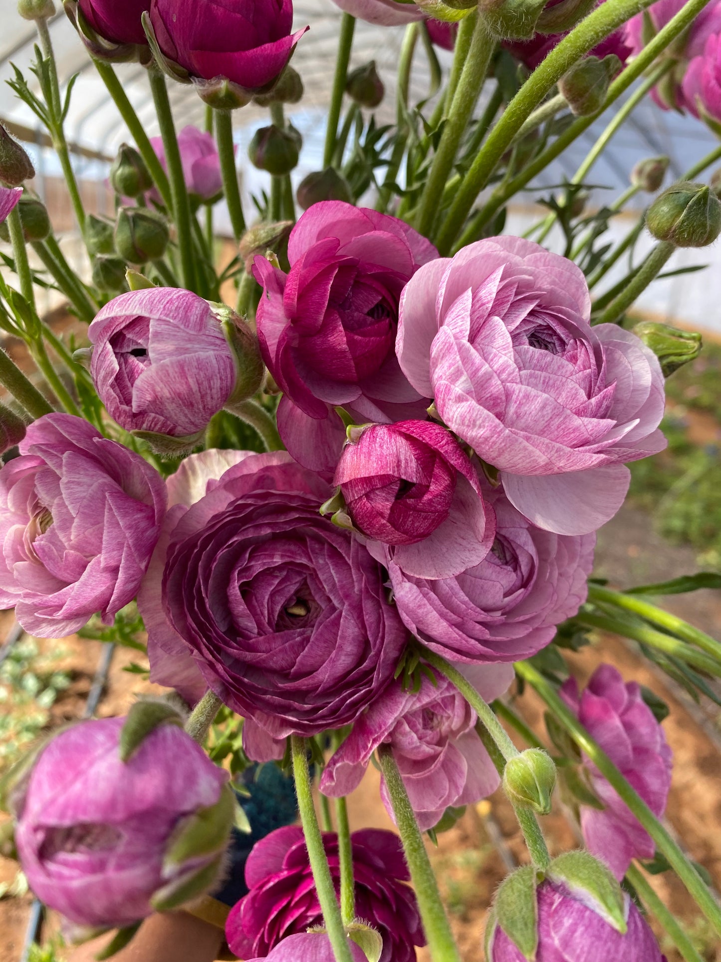 Spring Flower Bouquet Subscription
